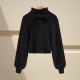 Autumn and winter new fashion turtleneck womens casual pullover knitted top womens sweater